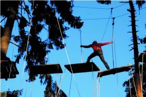 Balancierelement im Hochseilgarten neben Gut Schörghof